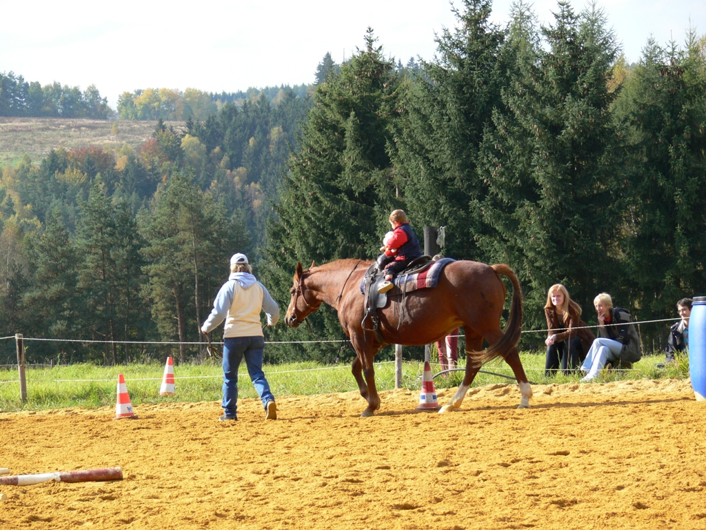 P1010771.jpg
